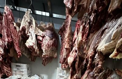 Imagem da notícia Dono de supermercado é preso com mais de 2 toneladas de carne estragada em MS